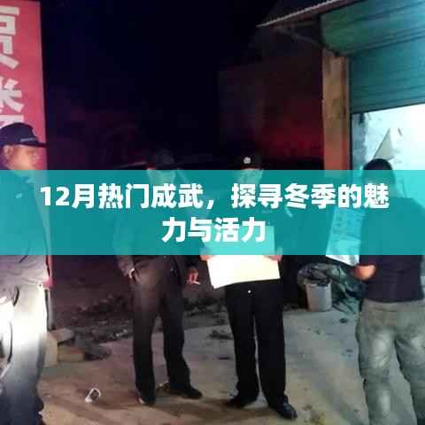 成武冬季魅力与活力探寻,12月热门旅游目的地
