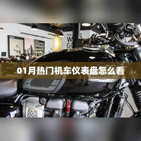 最新热门机车仪表盘使用指南