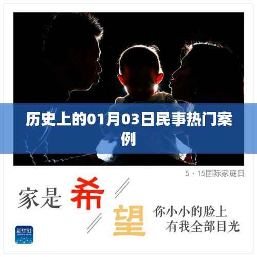 民事热门案例揭秘,历史上的重要日子——一月三日回顾