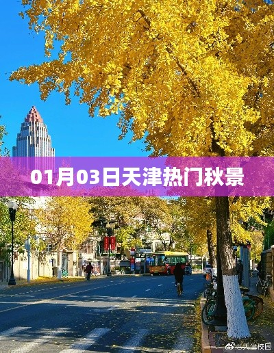 星星打烊 第3页