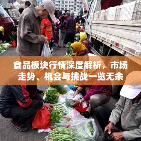 食品板块行情深度解析,市场走势、机会与挑战一览无余