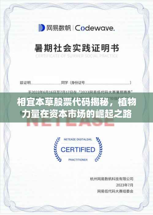 相宜本草股票代码揭秘,植物力量在资本市场的崛起之路