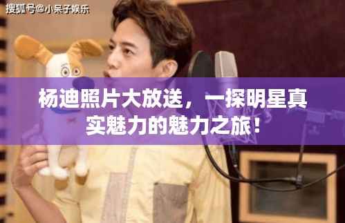 杨迪照片大放送,一探明星真实魅力的魅力之旅!