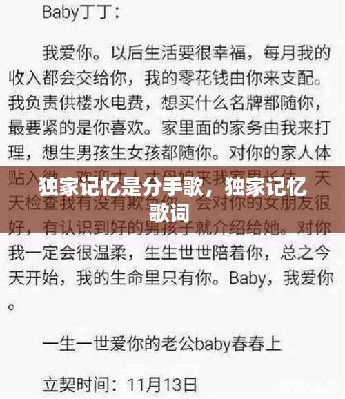 独家记忆是分手歌,独家记忆歌词