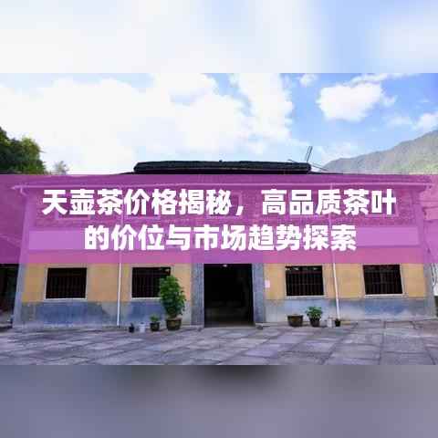 天壶茶价格揭秘，高品质茶叶的价位与市场趋势探索