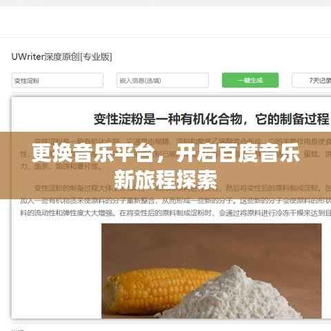 更换音乐平台,开启百度音乐新旅程探索