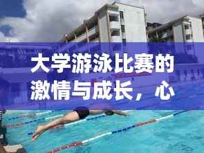大学游泳比赛的激情与成长,心得感悟全分享