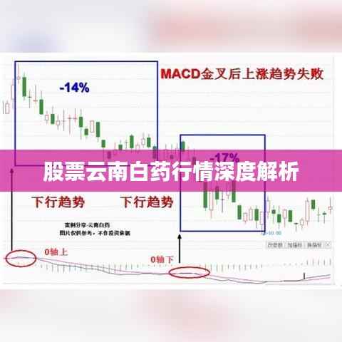股票云南白药行情深度解析