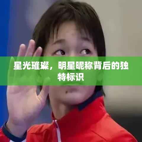 星光璀璨,明星昵称背后的独特标识