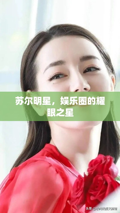 苏尔明星,娱乐圈的耀眼之星