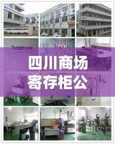 四川商场寄存柜公司排名大揭秘,优质企业榜单不容错过!