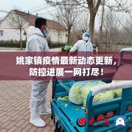 姚家镇疫情最新动态更新,防控进展一网打尽!