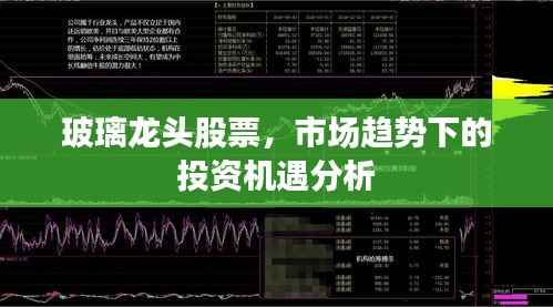 玻璃龙头股票,市场趋势下的投资机遇分析