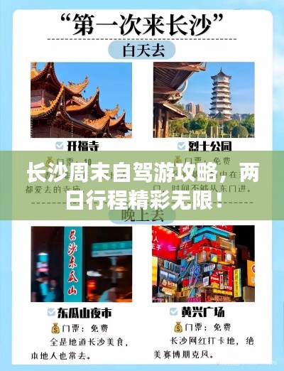 张口结舌 第3页