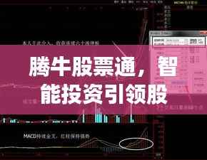 腾牛股票通,智能投资引领股票新时代!