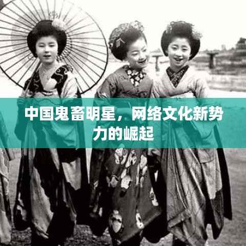 中国鬼畜明星,网络文化新势力的崛起