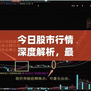 今日股市行情深度解析,最新走势揭示股价动态
