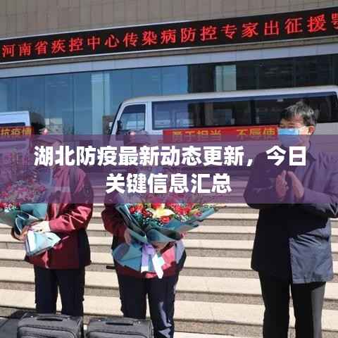 湖北防疫最新动态更新,今日关键信息汇总