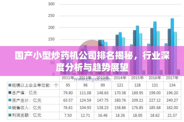 国产小型炒药机公司排名揭秘,行业深度分析与趋势展望