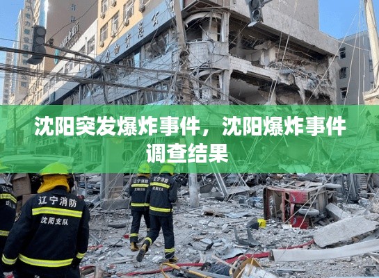 沈阳突发爆炸事件,沈阳爆炸事件调查结果