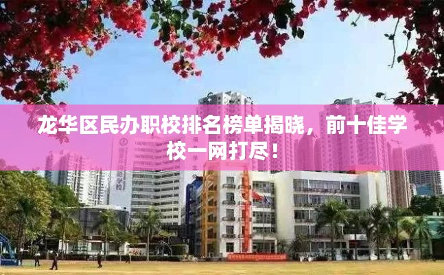 龙华区民办职校排名榜单揭晓,前十佳学校一网打尽!
