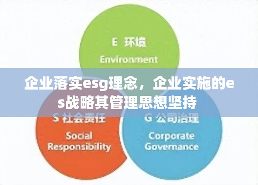 企业落实esg理念,企业实施的es战略其管理思想坚持