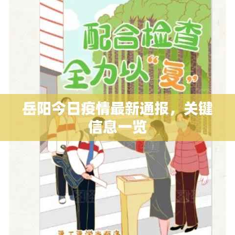 岳阳今日疫情最新通报,关键信息一览