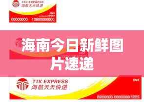 海南今日新鲜图片速递