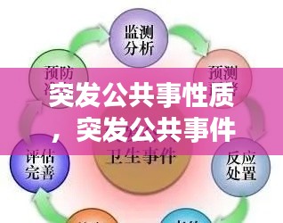 突发公共事性质,突发公共事件包括几类