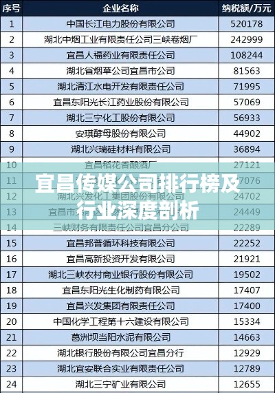 宜昌传媒公司排行榜及行业深度剖析