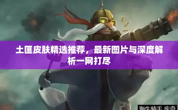 土匪皮肤精选推荐，最新图片与深度解析一网打尽