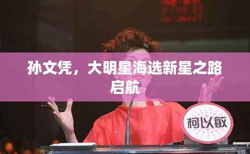 孙文凭，大明星海选新星之路启航