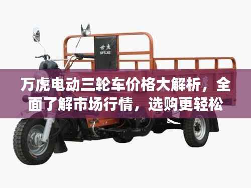 万虎电动三轮车价格大解析，全面了解市场行情，选购更轻松！