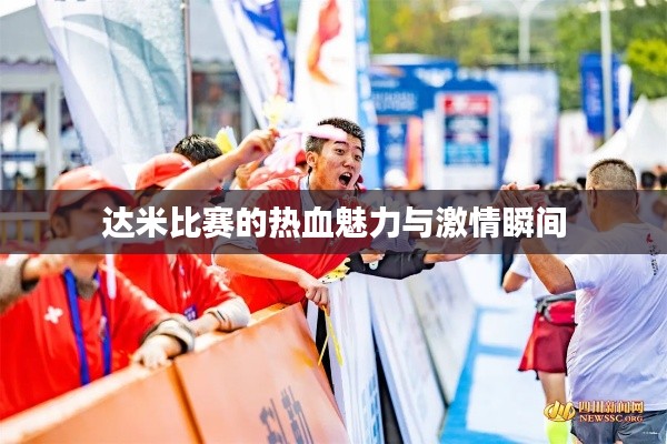 达米比赛的热血魅力与激情瞬间